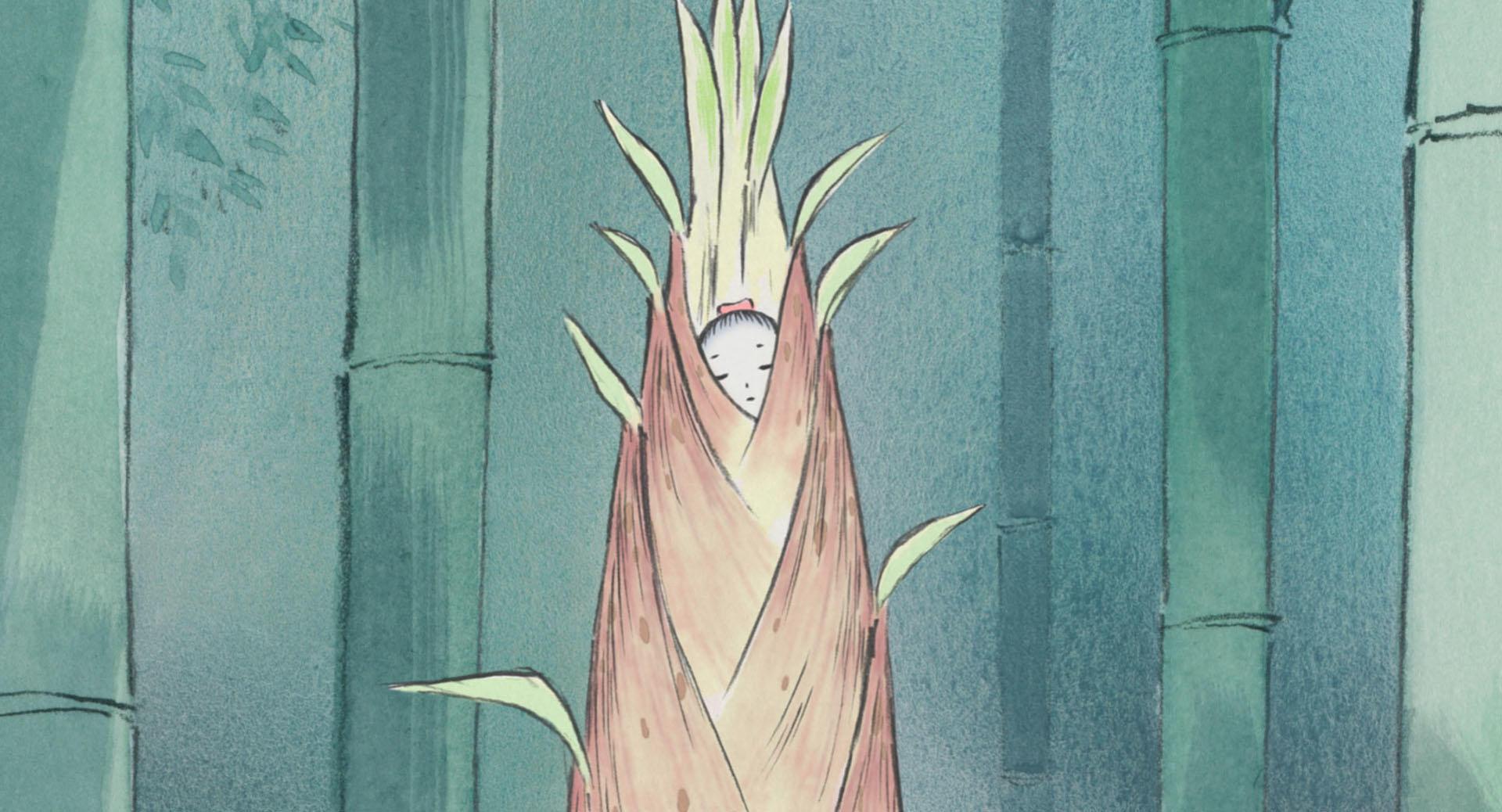 Campus During Summer Season Sophisticated