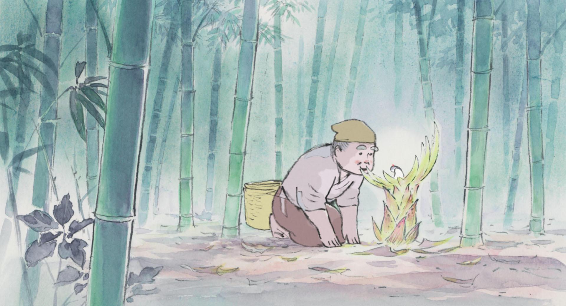 Campus During Summer Season Sophisticated