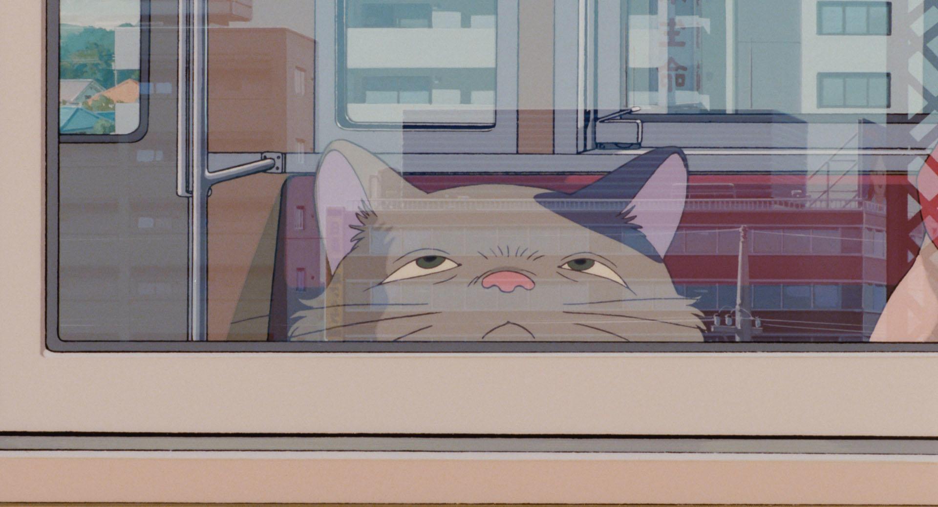 School Days Campus Memories Soft