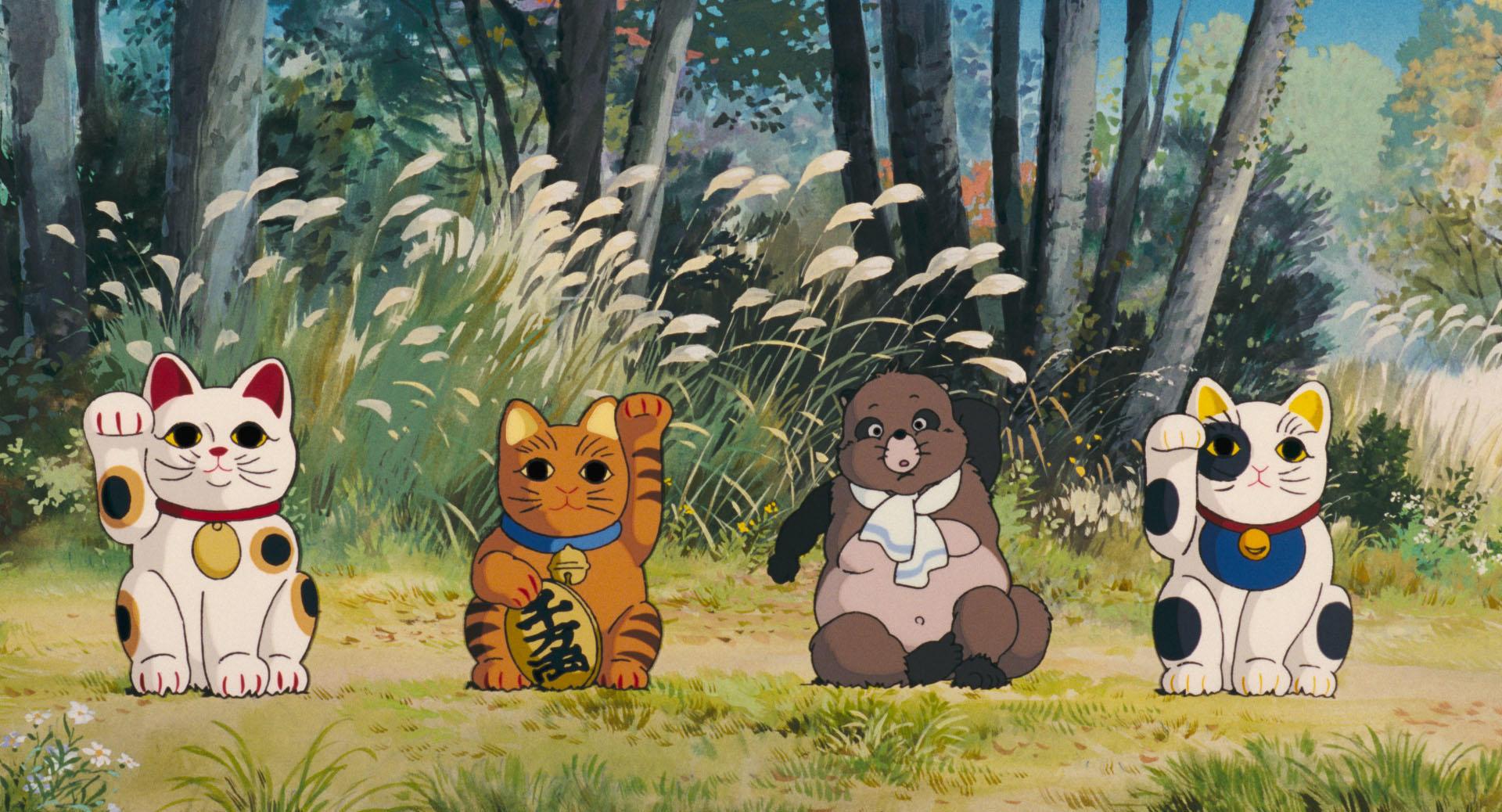 Dawn Fashion Aesthetic Glimpse