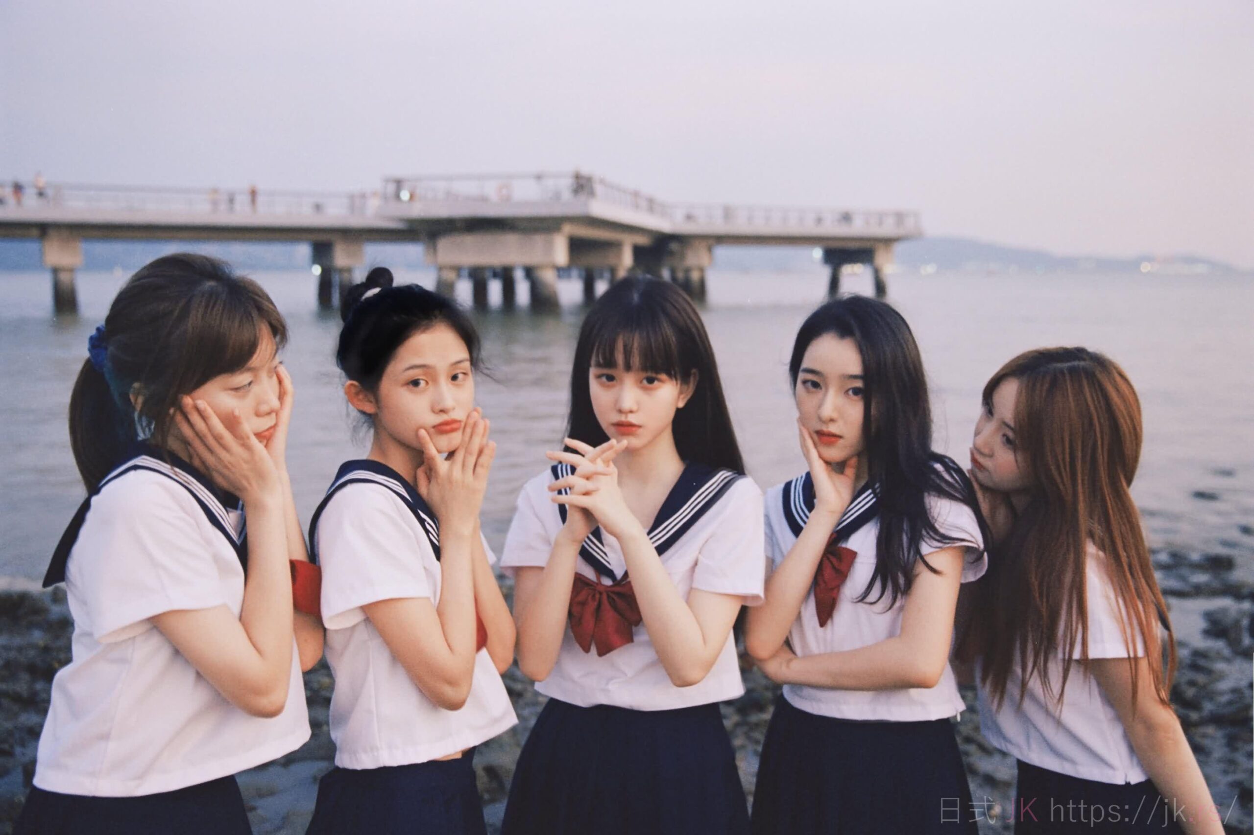 Professional High School Academic Dress Compilation