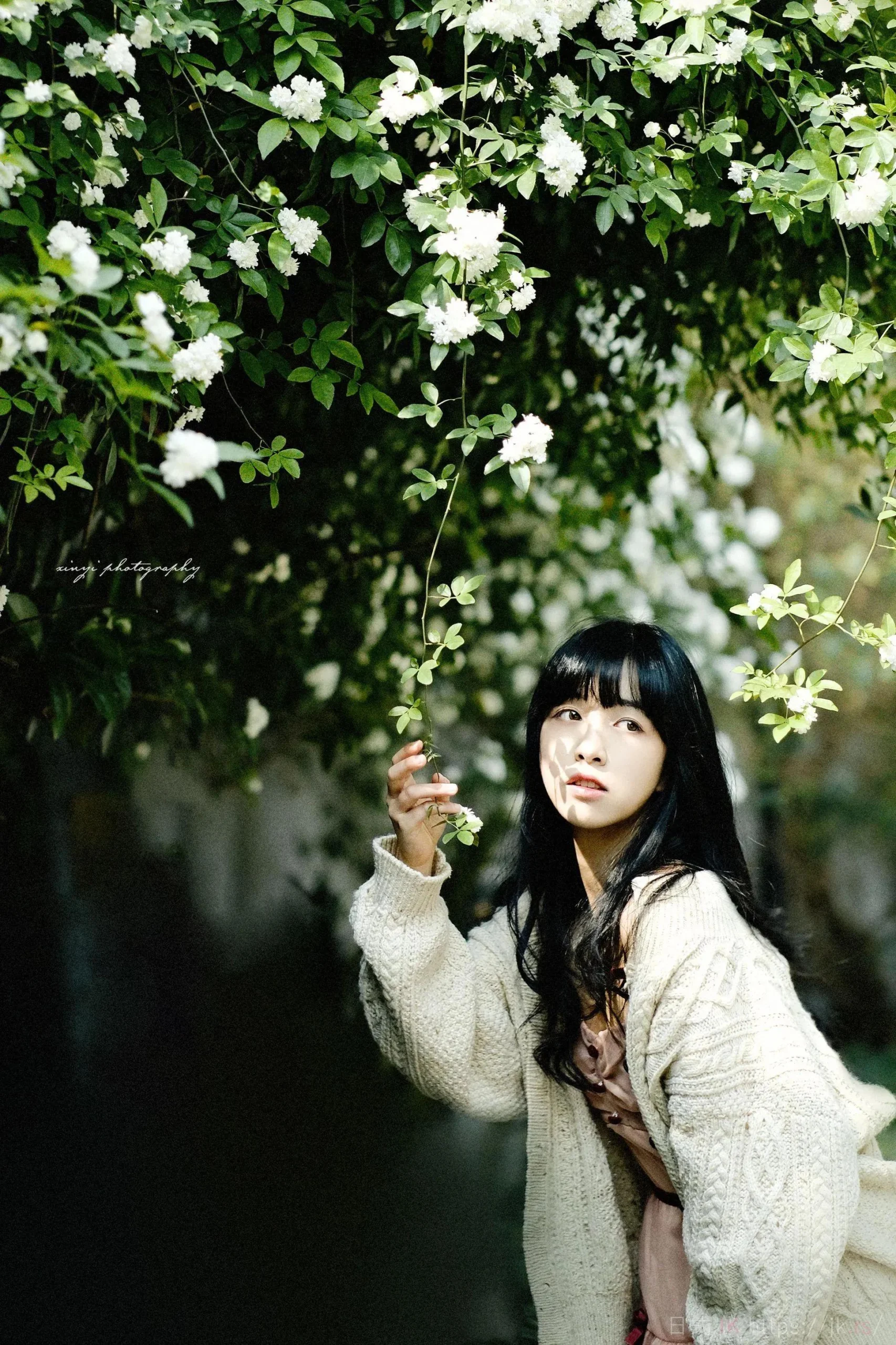 Evening Fashion Ambiance Photography